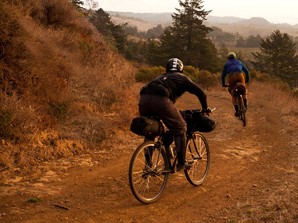 cycling pants